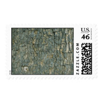 Tree bark texture stamps