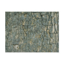 Tree bark texture post card