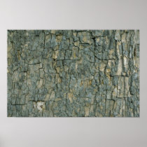 Tree bark texture poster