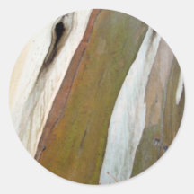 Tree Bark Texture Round Sticker