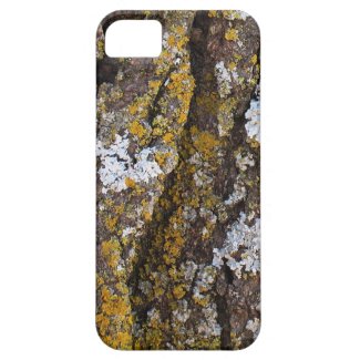Tree Bark With Lichens iPhone 5 Case