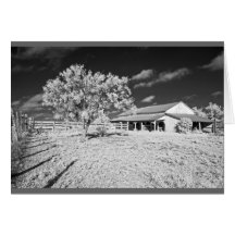 Tree, barn and fence cards