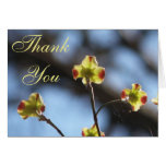Tree Blossom Thank You Card