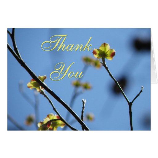 Tree Blossom Thank You Card