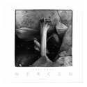 Tree Bone posters