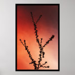 Tree branch silhouette posters