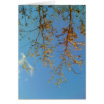 Tree Branches Card