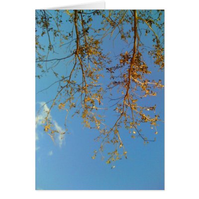 Tree Branches Card by thefunkhouse