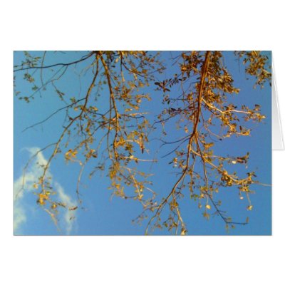 Tree Branches Greeting Card by thefunkhouse