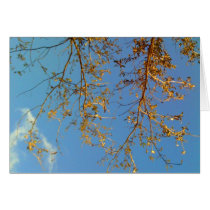 Tree Branches cards