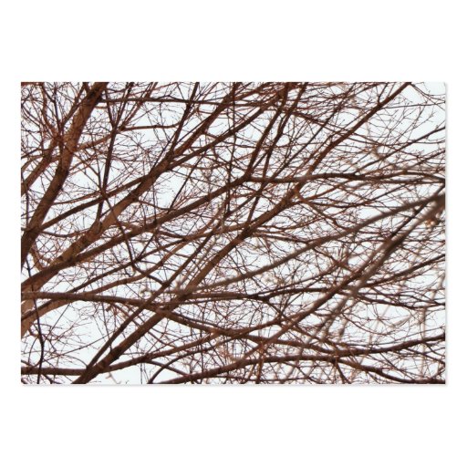 Tree Branches in Fall Business Card Template (front side)