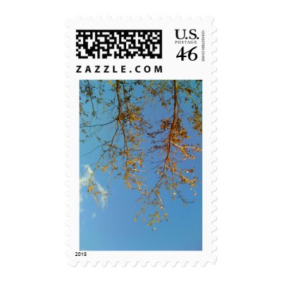 Tree Branches Postage Stamp by thefunkhouse