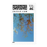 Tree Branches Postage Stamp