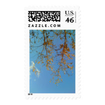 Tree Branches postage