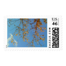 Tree Branches postage