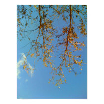 Tree Branches posters by thefunkhouse Tree Branches posters