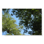 Tree Branches Poster or Print posters