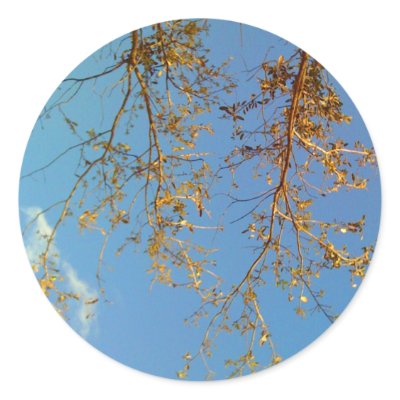 Tree Branches Round Stickers by thefunkhouse