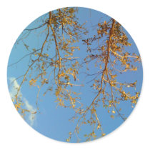 Tree Branches stickers
