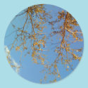 Tree Branches stickers