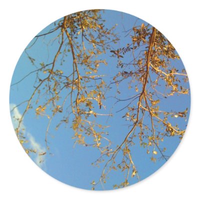 Tree Branches Round Stickers by thefunkhouse