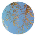 Tree Branches stickers by thefunkhouse Tree Branches stickers