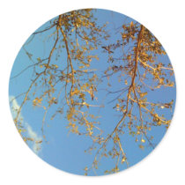 Tree Branches stickers by thefunkhouse Tree Branches stickers