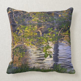 Tree Branches, Sunlight, Reflection Throw Pillows