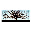 Tree Brown Blue posters
