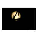 Tree Bud Moon posters