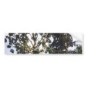 Tree bumper stickers by Moondial Tree bumper stickers
