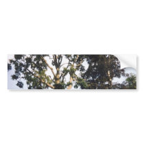 Tree bumper stickers