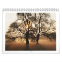 Tree calendars by drkw421 Tree calendars