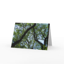 Tree canopy cards