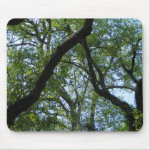 Tree Canopy mousepads by ctlockwood Tree Canopy mousepads