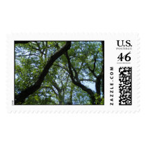 Tree Canopy postage
