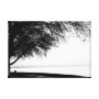 tree wrappedcanvas