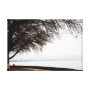 tree wrappedcanvas