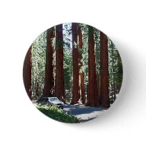 Tree Car Sequoia Park buttons by lifesphere Tree Car Sequoia Park buttons
