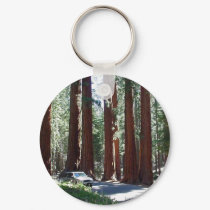 Tree Car Sequoia Park keychains by lifesphere Tree Car Sequoia Park keychains