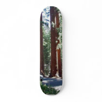 Tree Car Sequoia Park Skate Decks