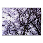 Tree card