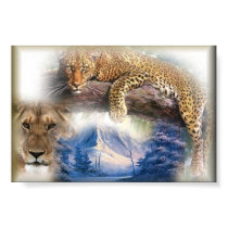 tree climber posters