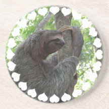 Tree Climbing Sloth Coasters