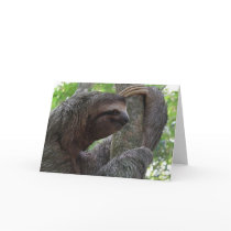 Tree Climbing Sloth Greeting Card