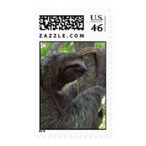 Tree Climbing Sloth Postage Stamp