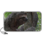 sloth, sloth photo, two toed sloth, three toed
