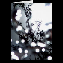Tree Dappled cards
