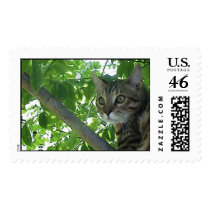 tree day postage