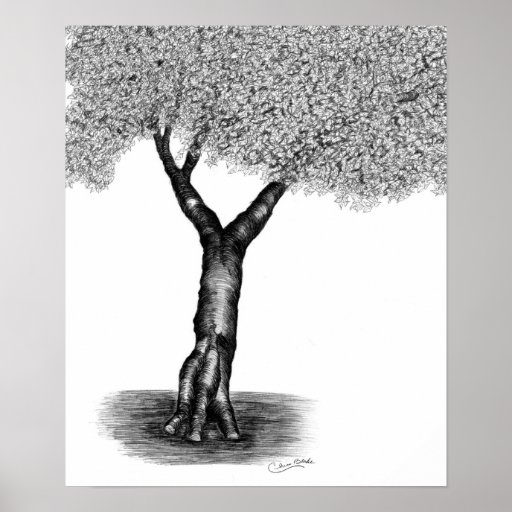 tree detailed poster